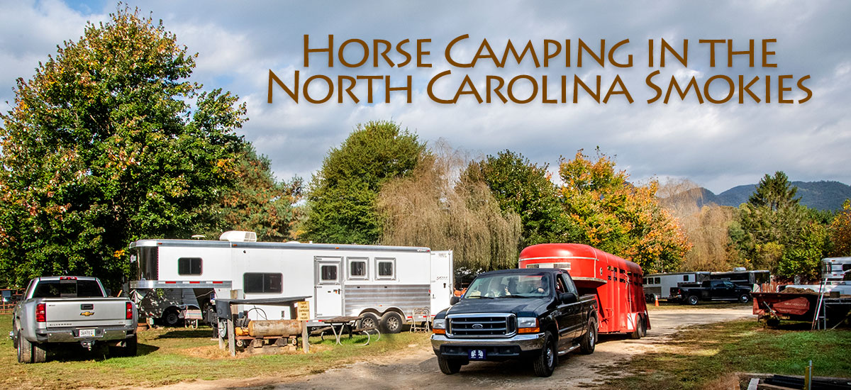 Home-head-1 Horse campers and trailers